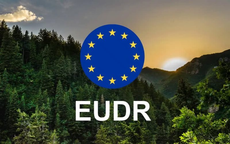 EUDR hírek – v4.17